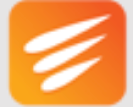 SilverTouch-VDP logo